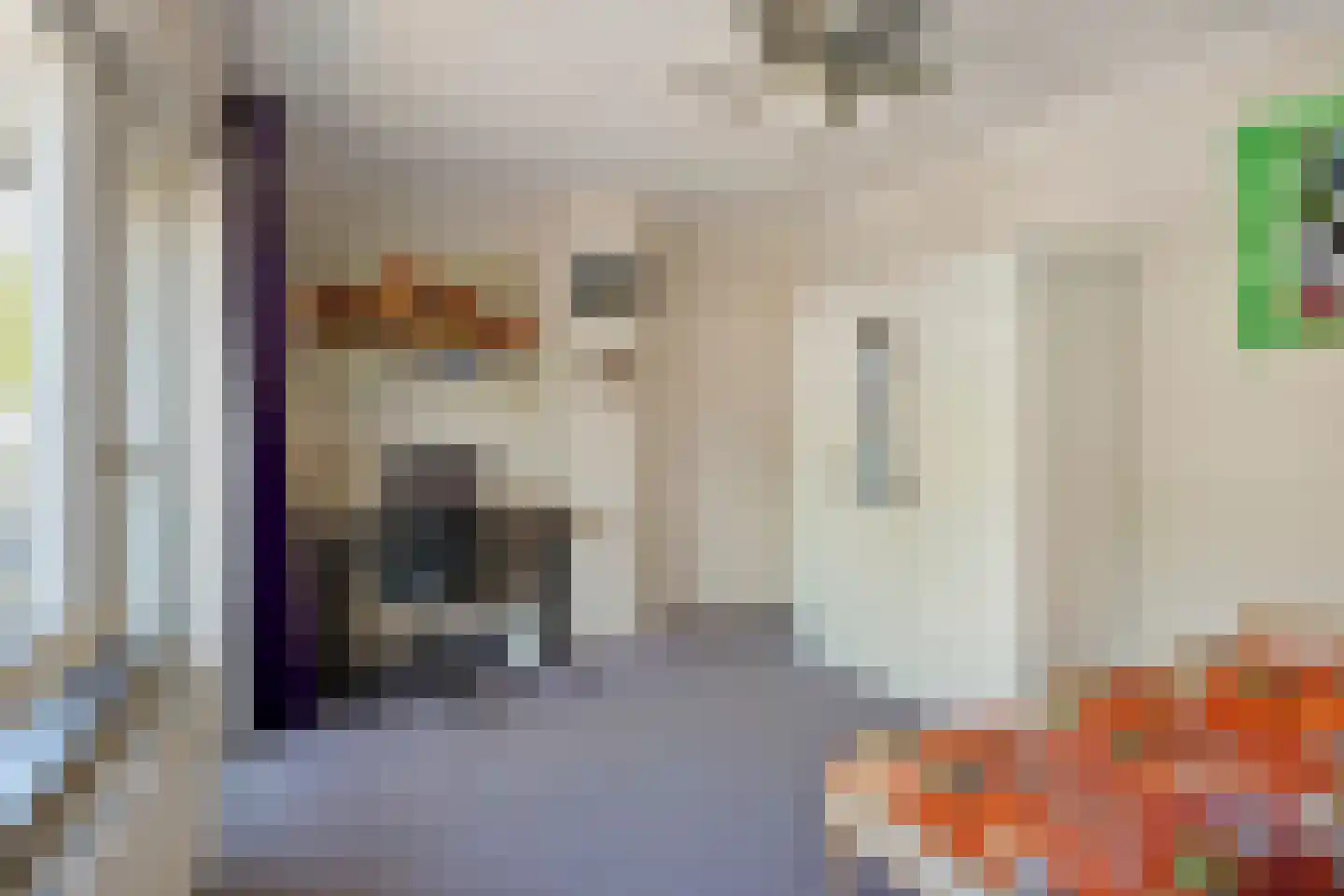 Nieuwstraat 7 Hapert thumbnail 25
