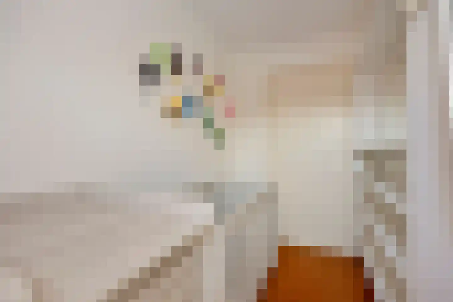 Nieuwstraat 7 Hapert thumbnail 27