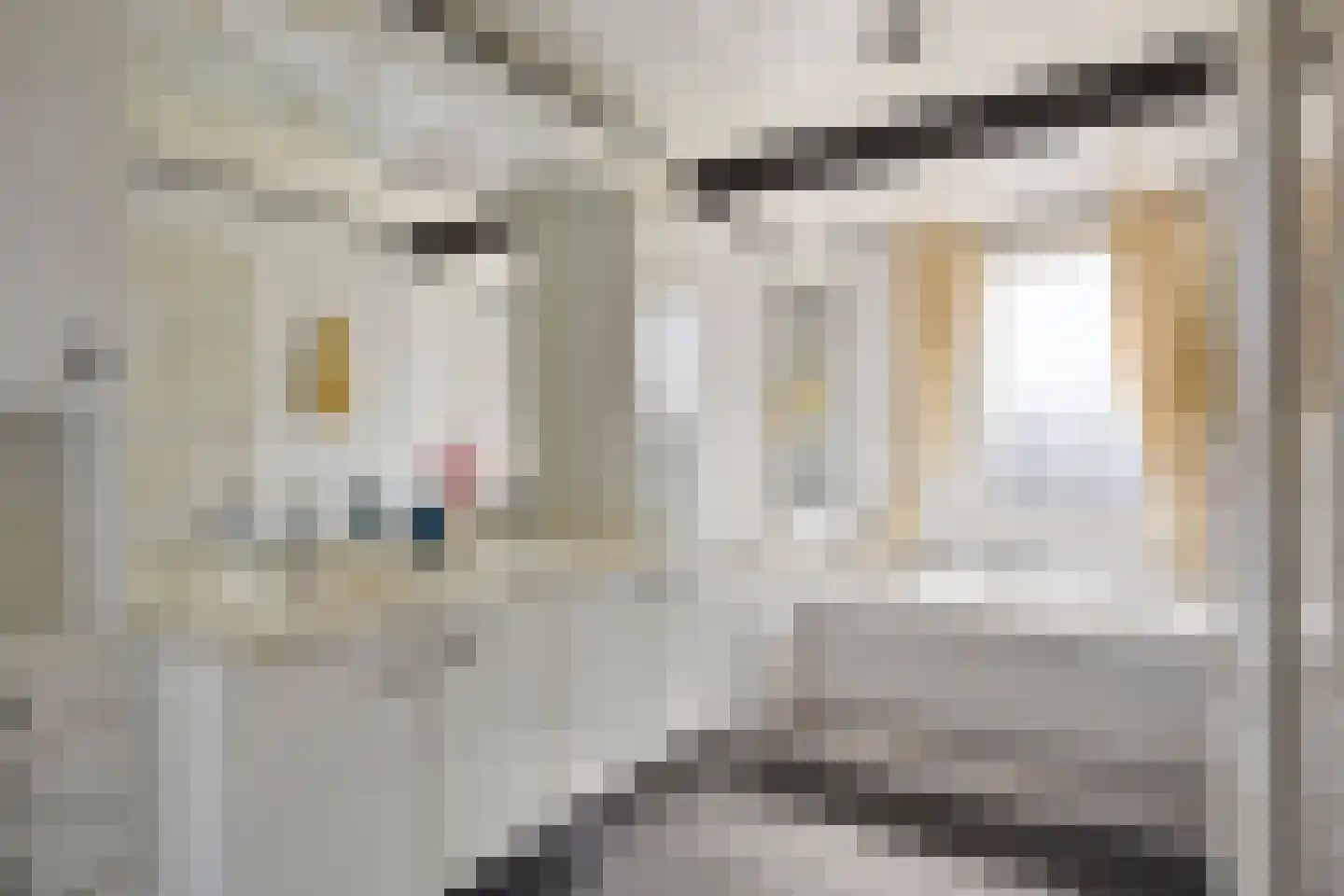 Nieuwstraat 7 Hapert thumbnail 28