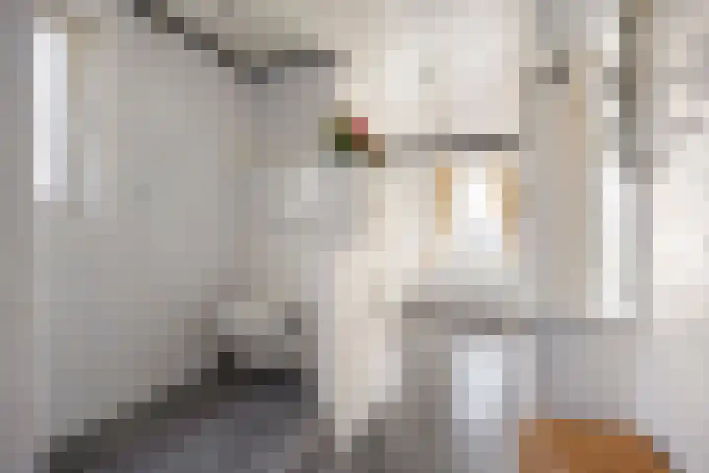 Nieuwstraat 7 Hapert thumbnail 31