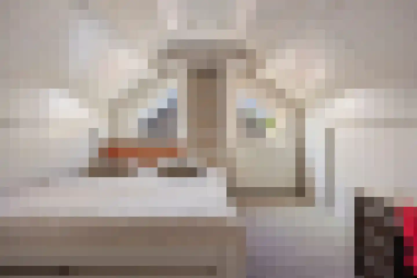 Nieuwstraat 7 Hapert thumbnail 35