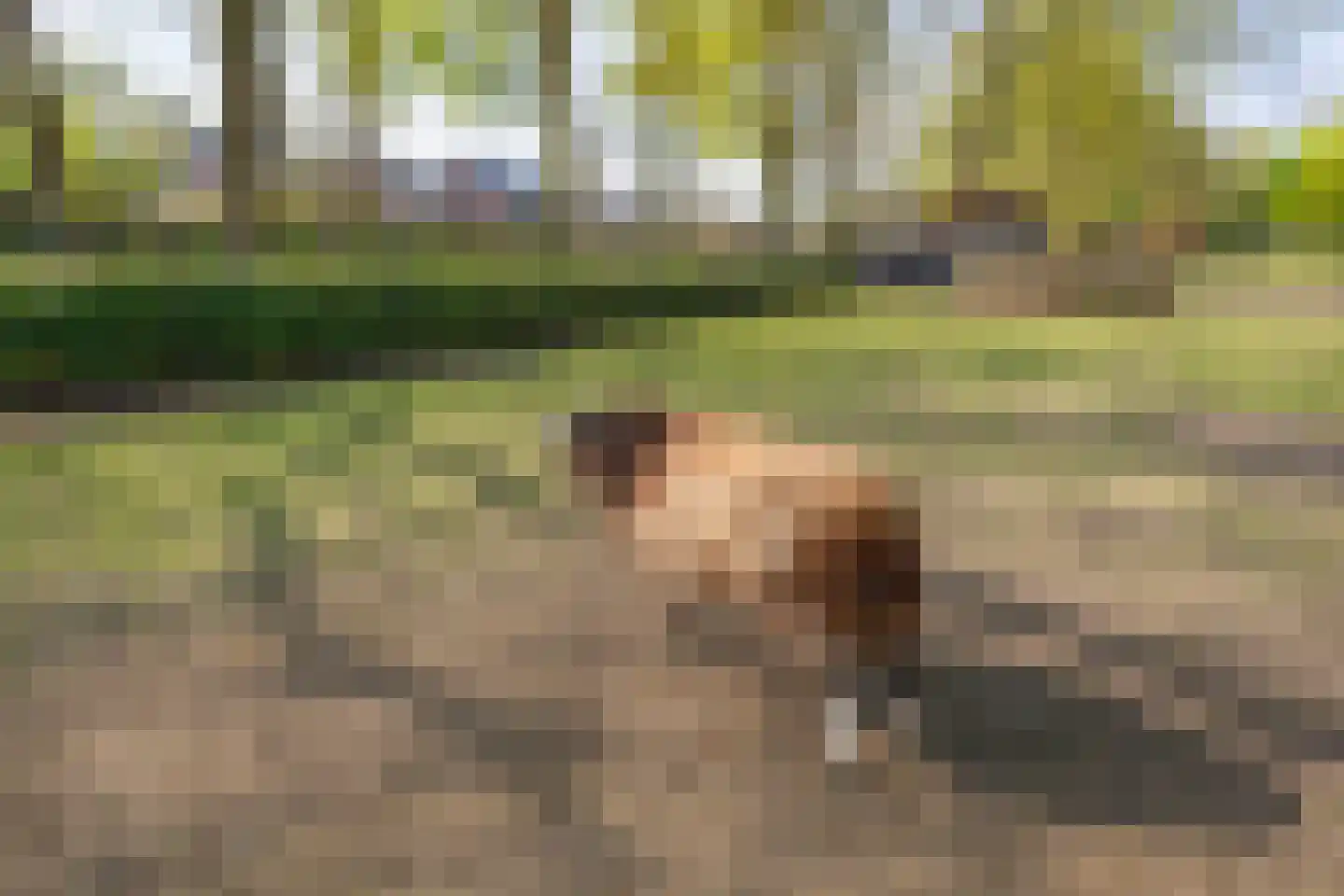 Nieuwstraat 7 Hapert thumbnail 47
