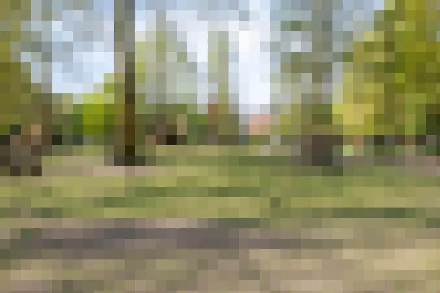 Nieuwstraat 7 Hapert thumbnail 49