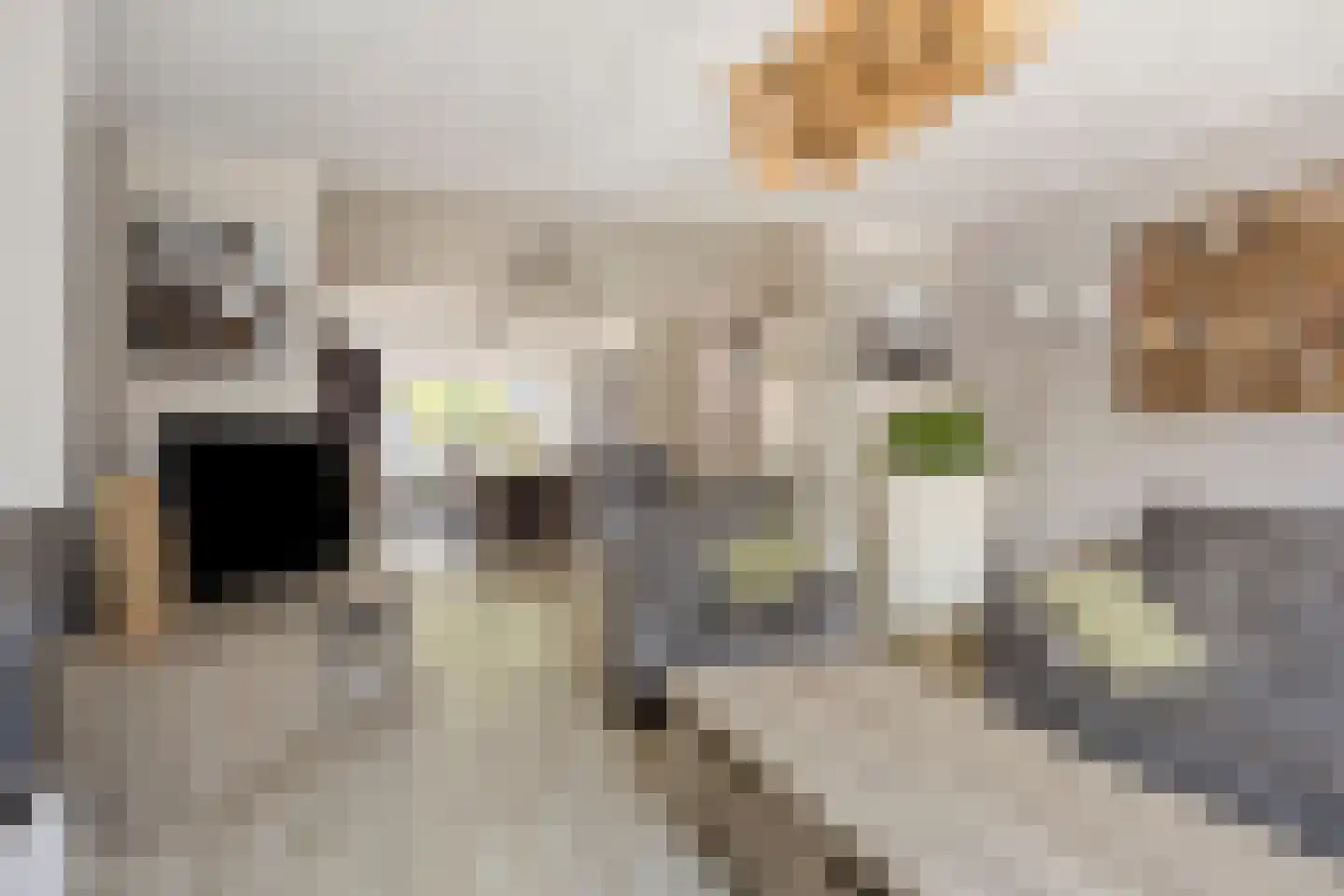 Nieuwstraat 7 Hapert thumbnail 9