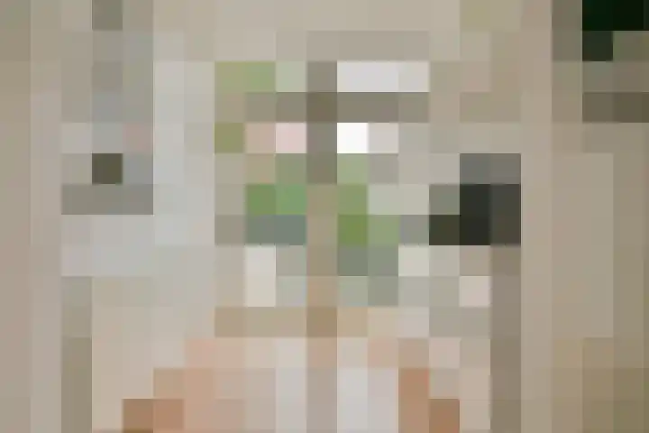 Nieuwstraat 7 Nieuw-Vennep thumbnail 17
