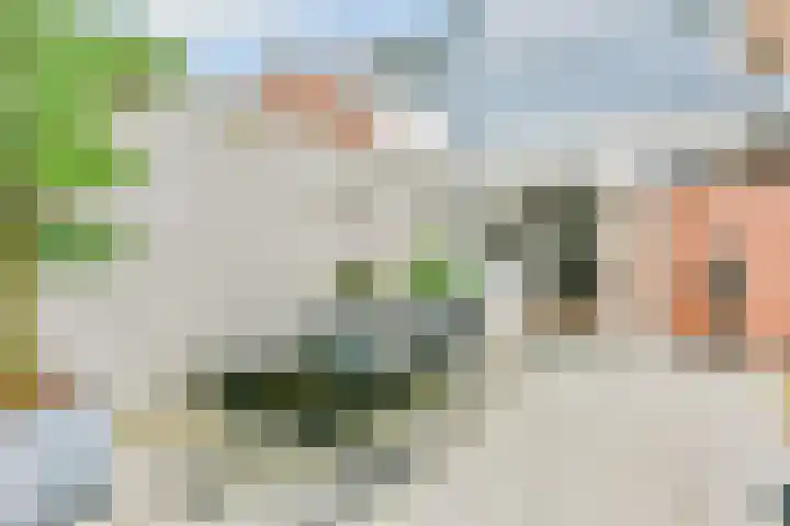 Nieuwstraat 7 Nieuw-Vennep thumbnail 26