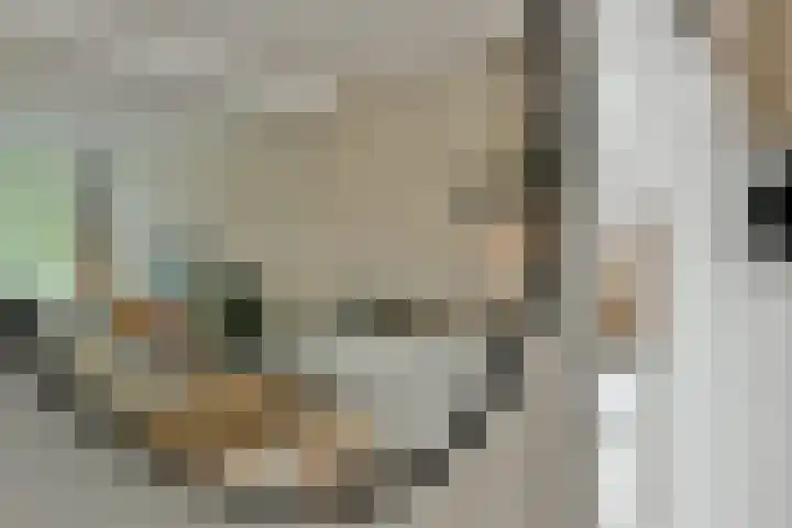 Nieuwstraat 7 Nieuw-Vennep thumbnail 7