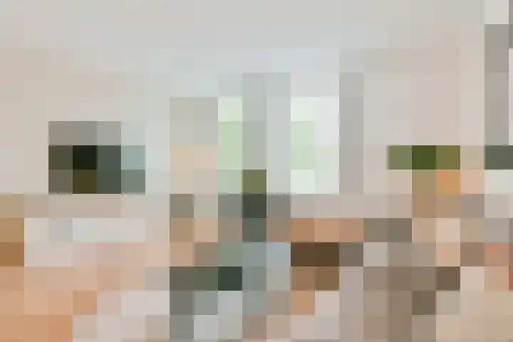Nieuwstraat 7 Nieuw-Vennep thumbnail 9