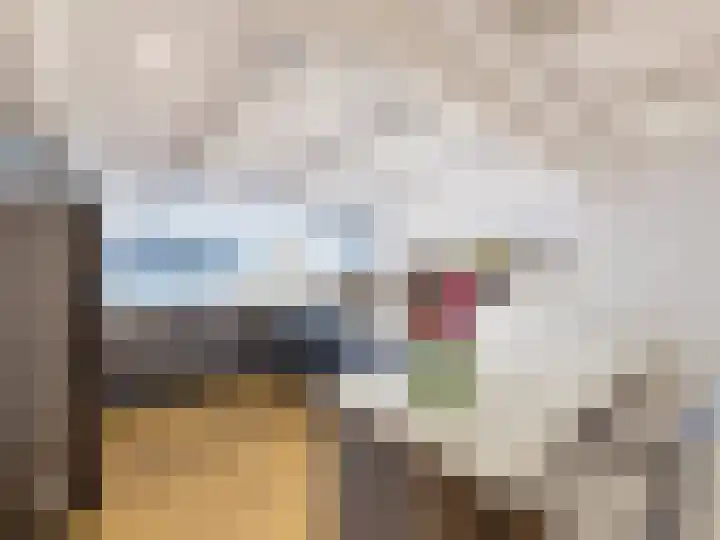 Nieuwstraat 71 Oostburg thumbnail 32