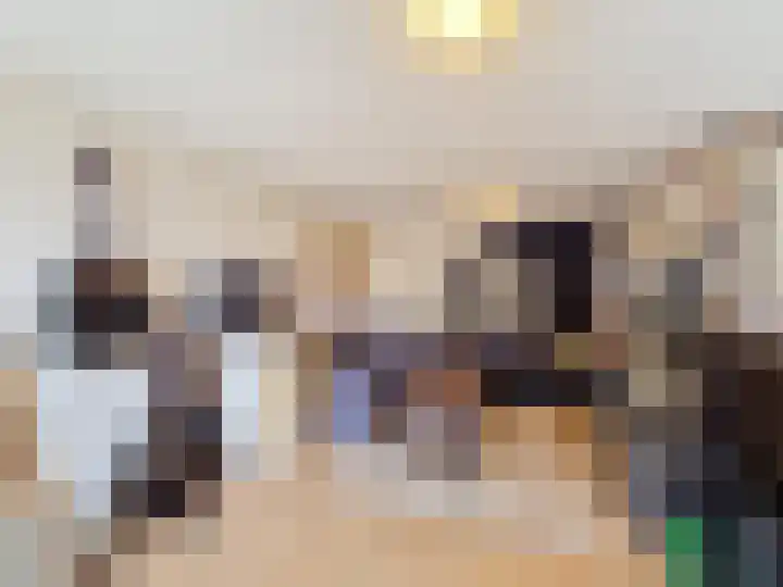 Nieuwstraat 71 Oostburg thumbnail 36