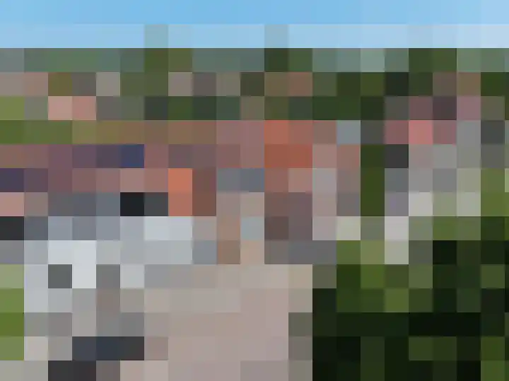 Nieuwstraat 71 Oostburg thumbnail 44