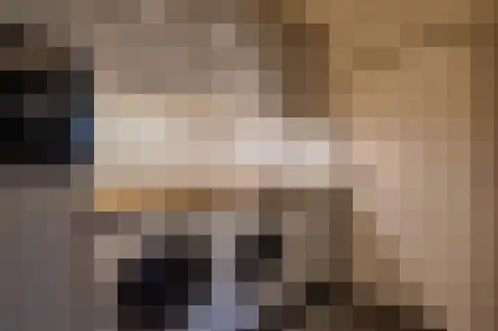 Nieuwstraat 73 Liempde thumbnail 17