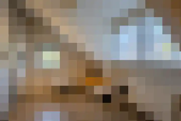Nieuwstraat 73 Liempde thumbnail 29