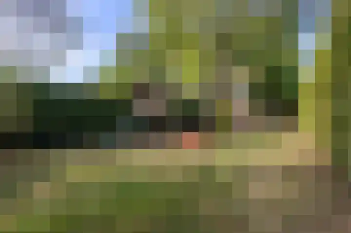 Nieuwstraat 73 Liempde thumbnail 36