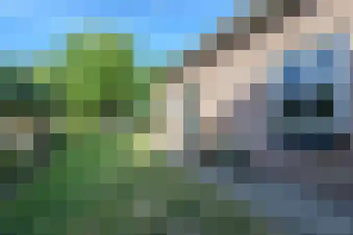 Nieuwstraat 73 Liempde thumbnail 39