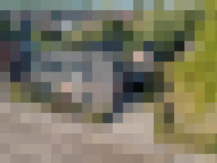 Nieuwstraat 73 Liempde thumbnail 43