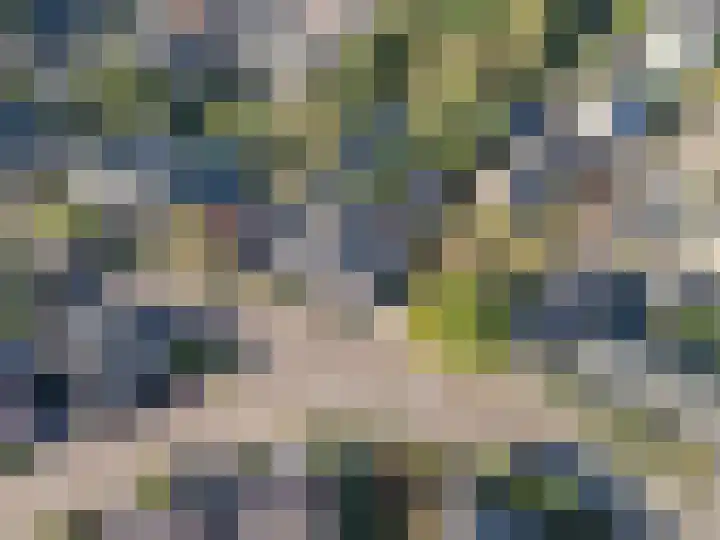 Nieuwstraat 73 Liempde thumbnail 44