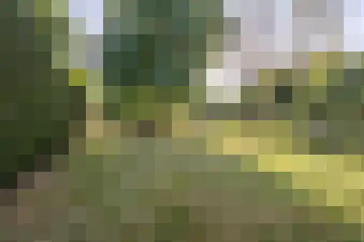 Nieuwstraat 73 Liempde thumbnail 5