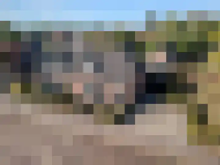 Nieuwstraat 73 Liempde thumbnail 56