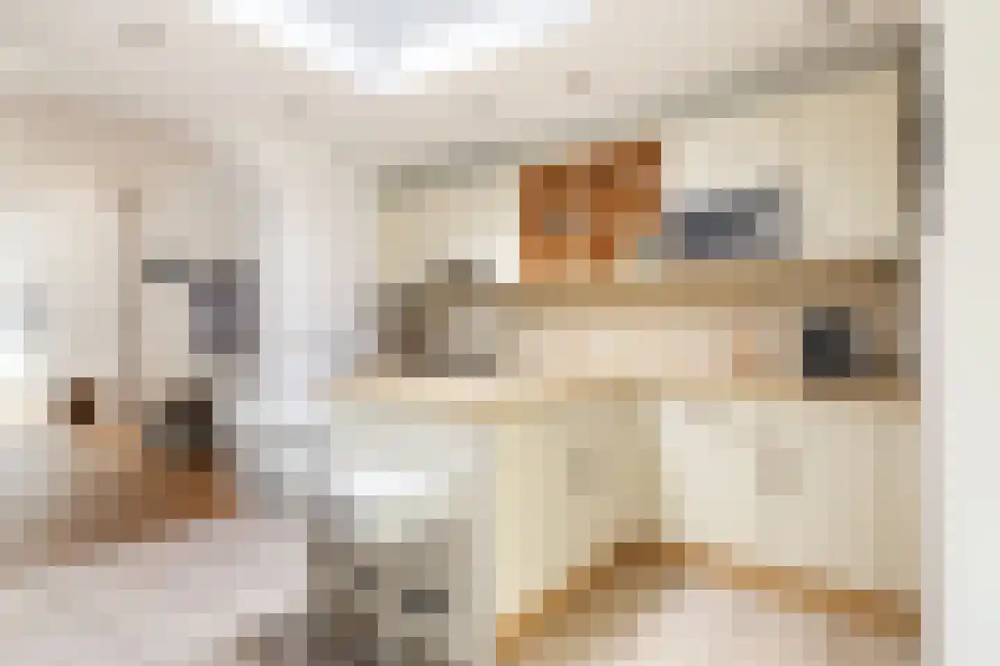 Nieuwstraat 73 Weesp thumbnail 13