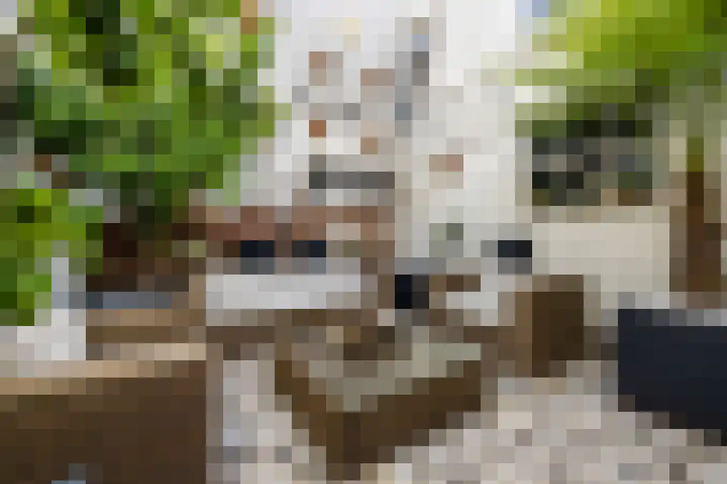 Nieuwstraat 73 Weesp thumbnail 20