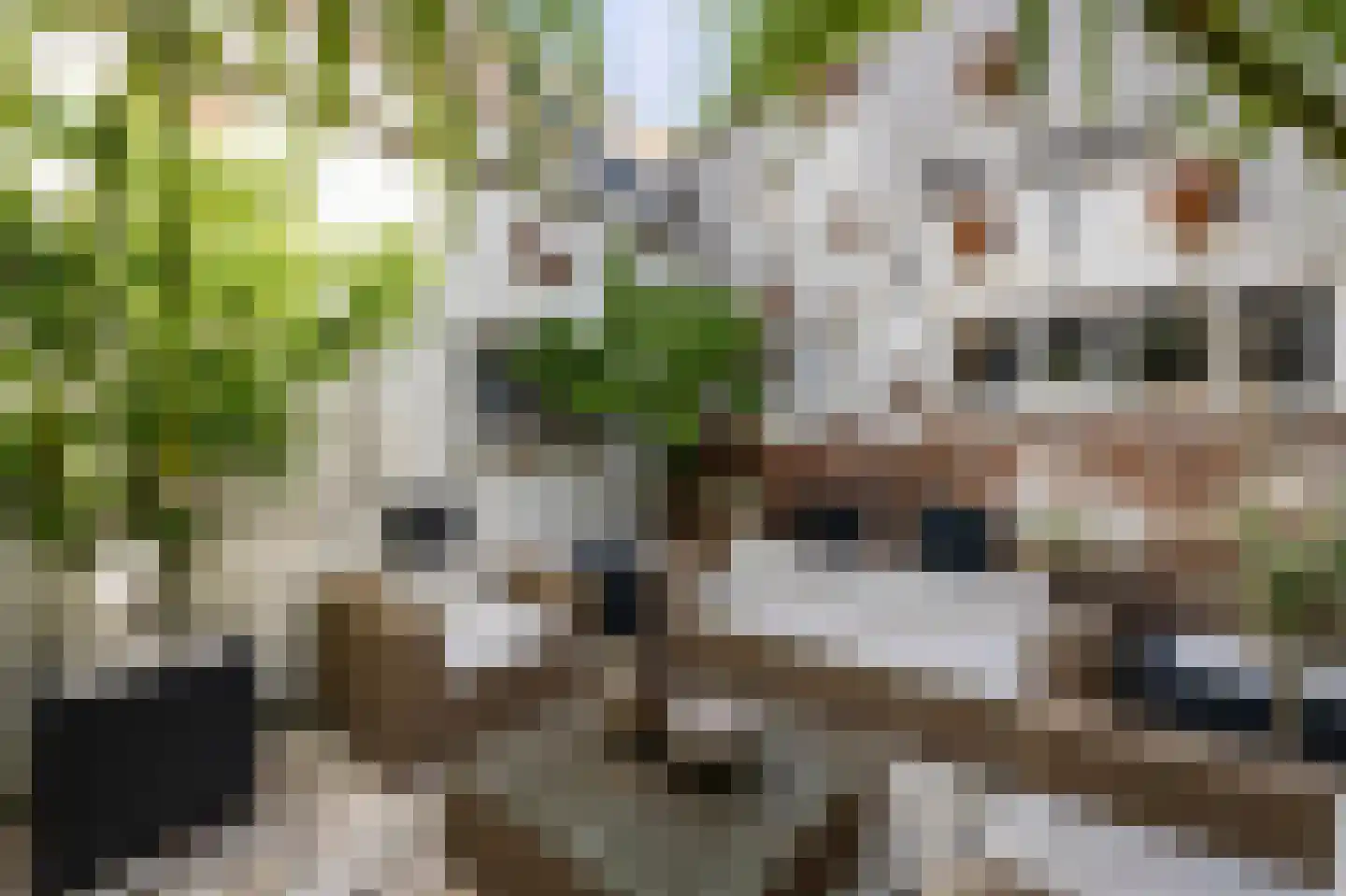 Nieuwstraat 73 Weesp thumbnail 21