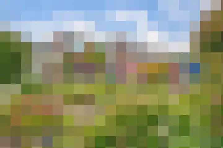 Nieuwstraat 74 Almelo thumbnail 43