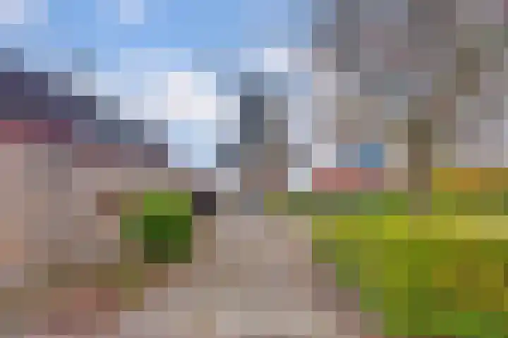 Nieuwstraat 74 Almelo thumbnail 48