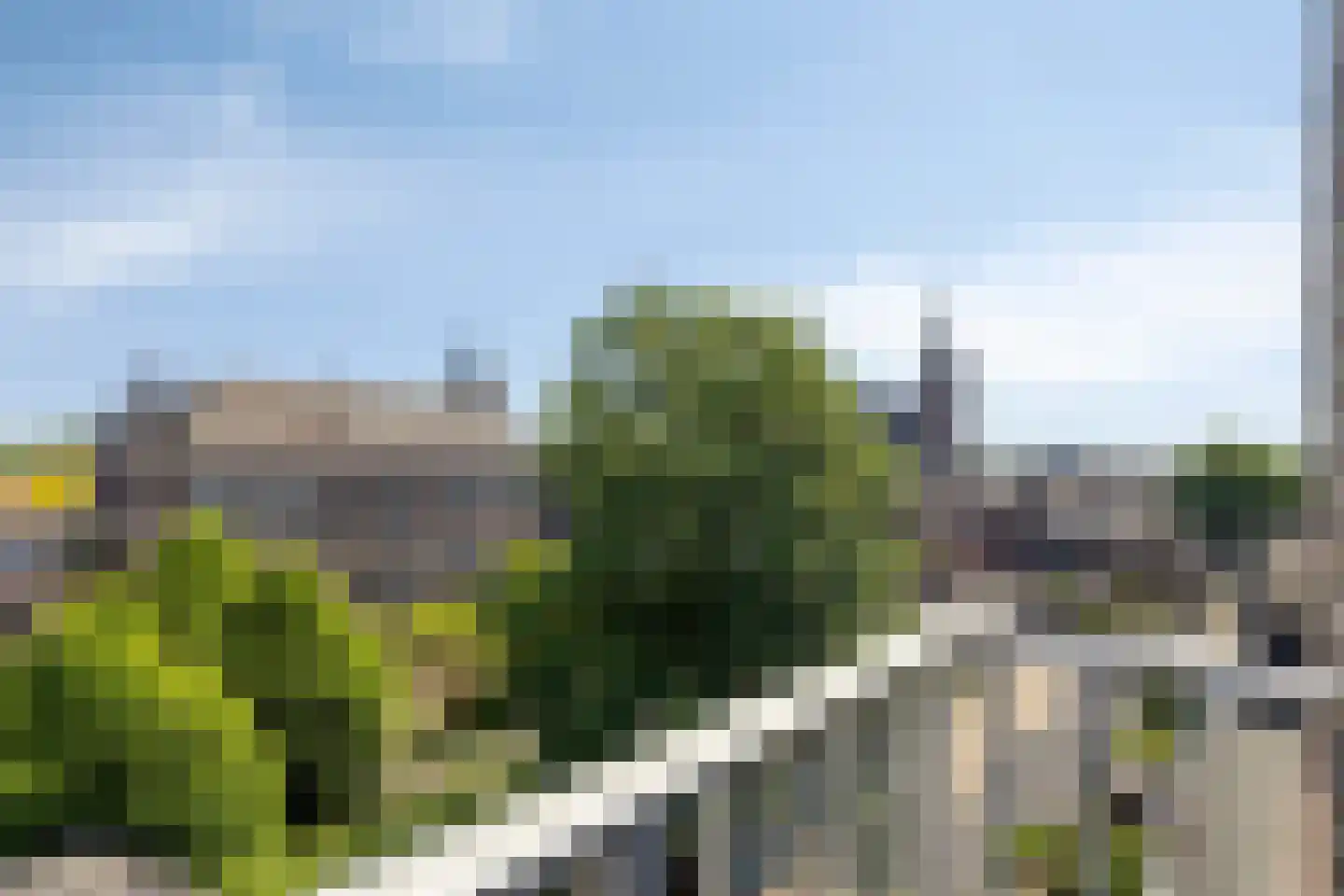 Nieuwstraat 75 K 's-Hertogenbosch thumbnail 17