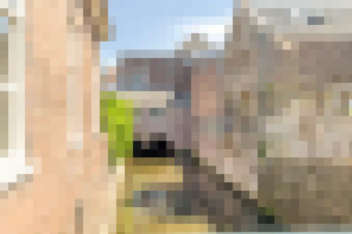 Nieuwstraat 75 K 's-Hertogenbosch thumbnail 26