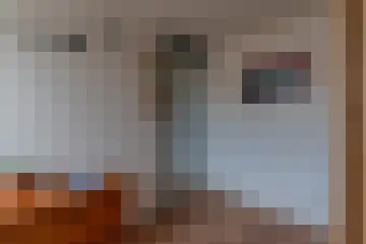 Nieuwstraat 76 De Bilt thumbnail 29