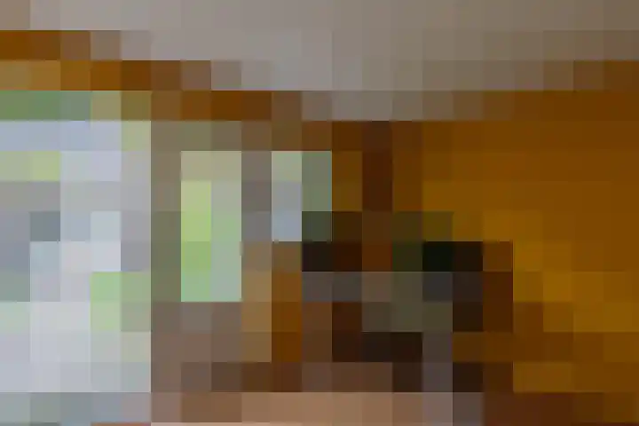Nieuwstraat 76 De Bilt thumbnail 35
