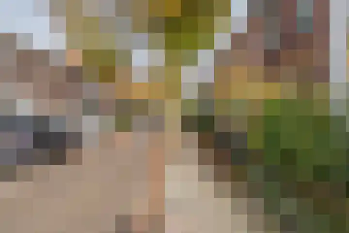 Nieuwstraat 76 De Bilt thumbnail 6
