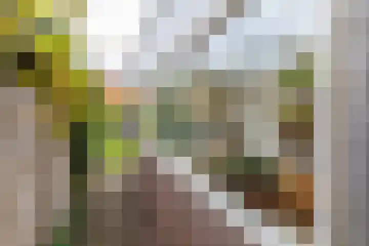 Nieuwstraat 76 De Bilt thumbnail 9