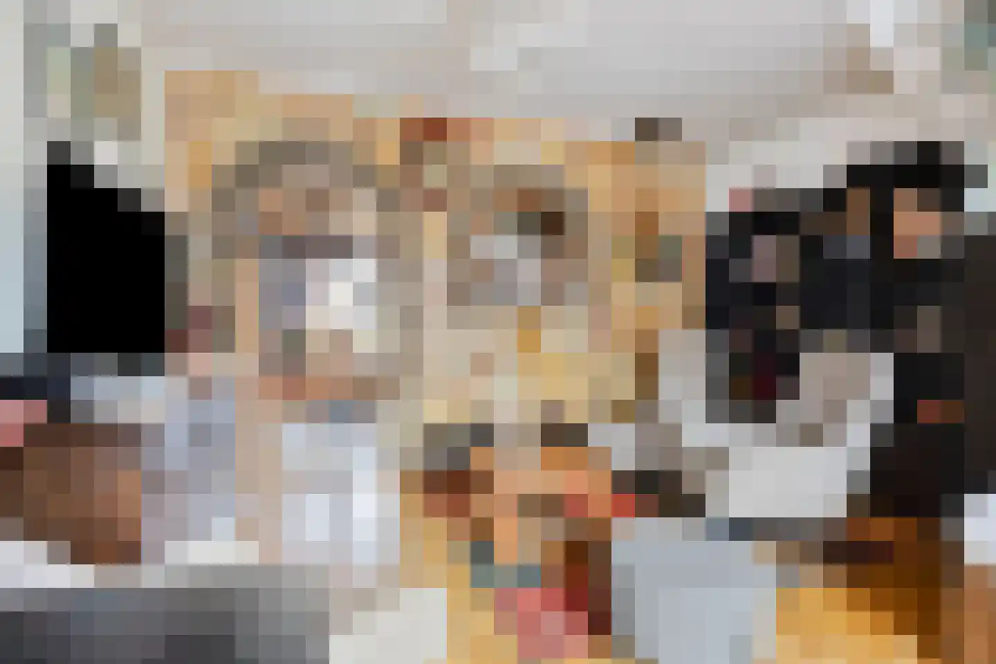 Nieuwstraat 76 Den Helder thumbnail 4