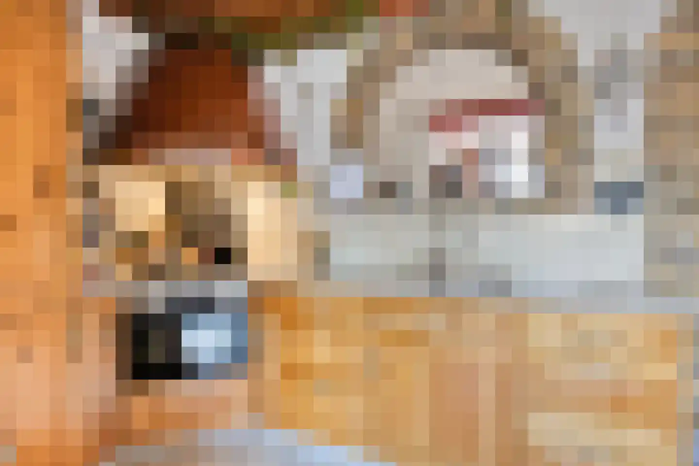 Nieuwstraat 76 Den Helder thumbnail 7
