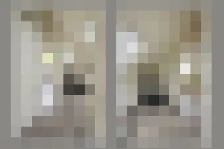 Nieuwstraat 77 Soest thumbnail 31