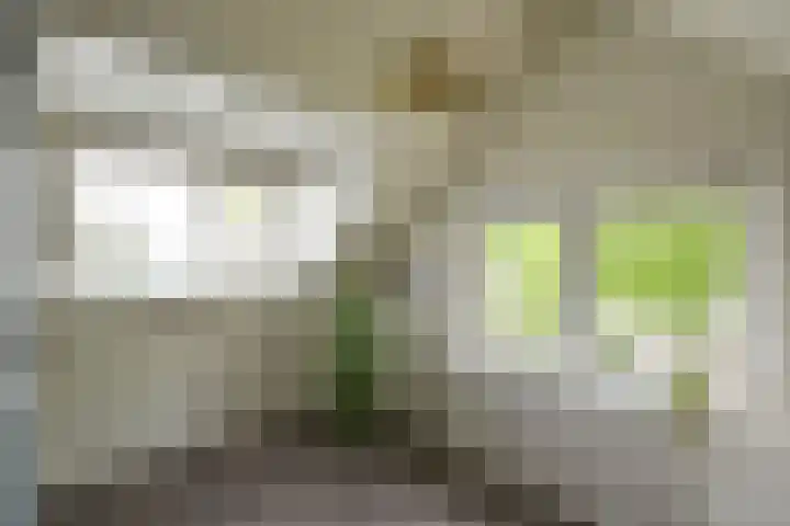 Nieuwstraat 77 Soest thumbnail 34