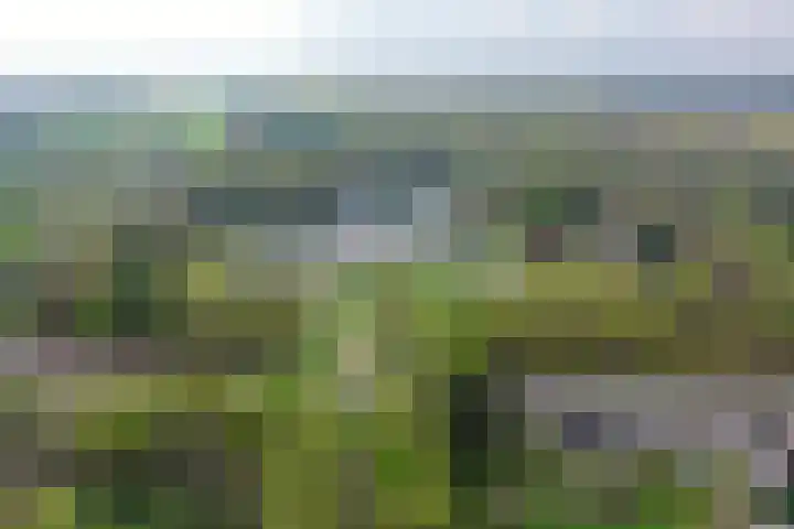Nieuwstraat 77 Soest thumbnail 37