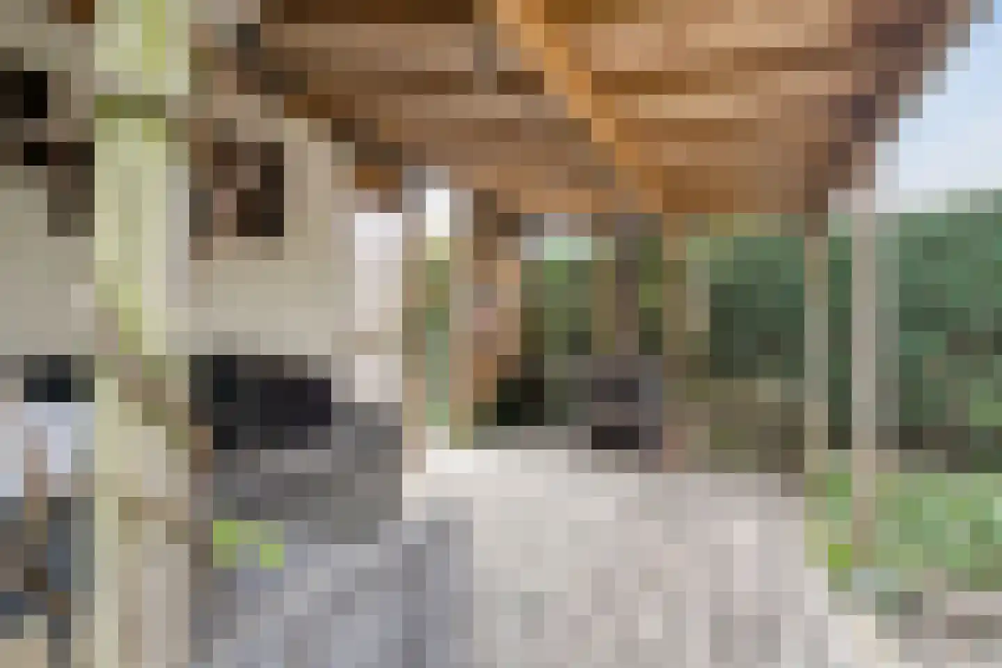 Nieuwstraat 77 Soest thumbnail 41