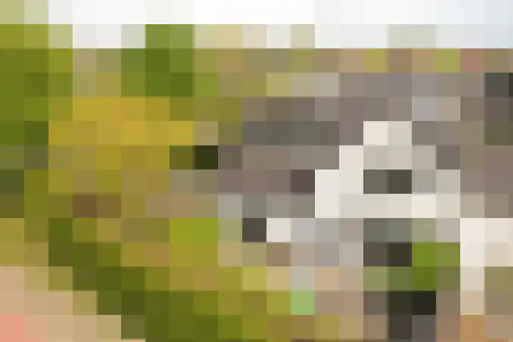 Nieuwstraat 77 Soest thumbnail 5