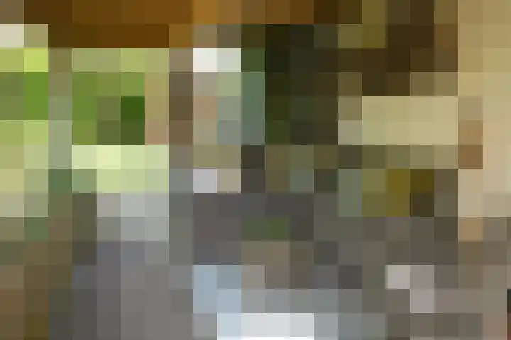 Nieuwstraat 77 Soest thumbnail 6