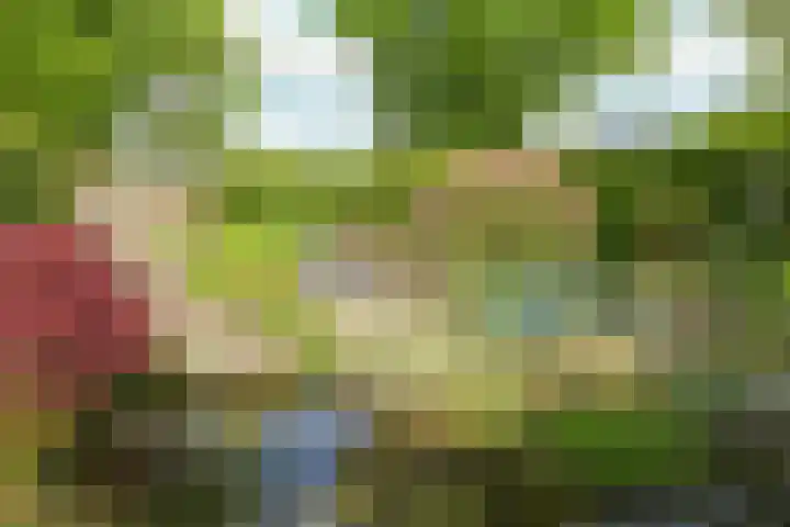 Nieuwstraat 77 Soest thumbnail 7