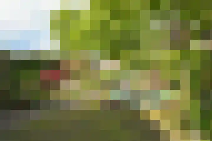 Nieuwstraat 77 Soest thumbnail 8