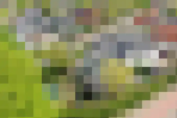 Nieuwstraat 77 Soest thumbnail 9