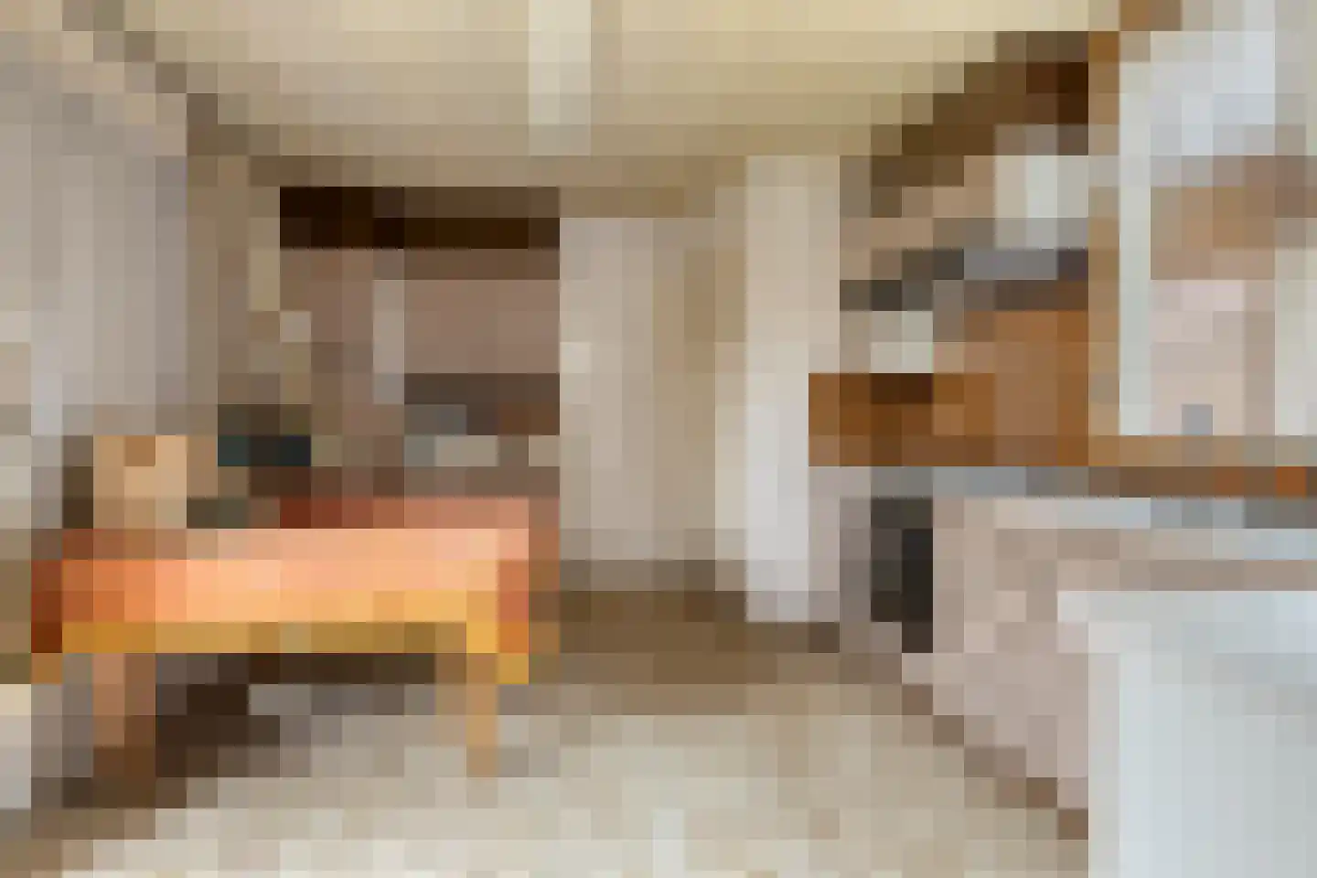 Nieuwstraat 79 Oostburg thumbnail 10