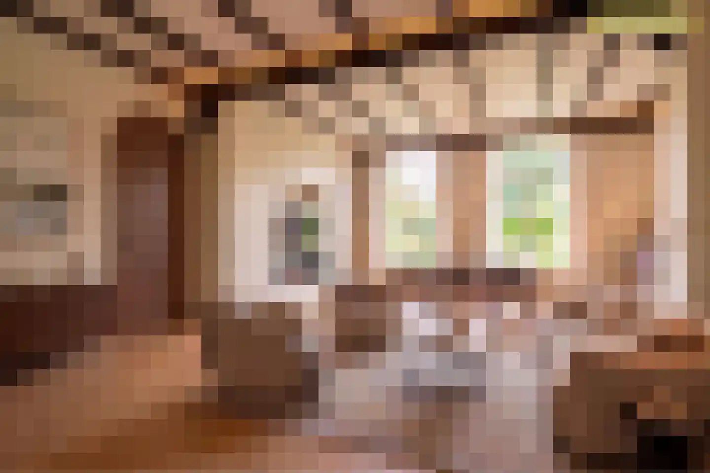 Nieuwstraat 79 Oostburg thumbnail 10