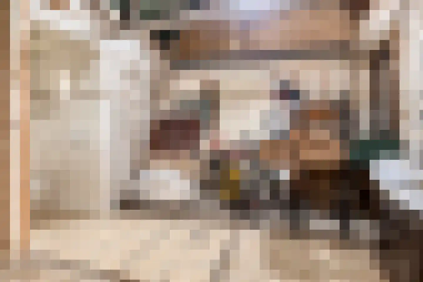 Nieuwstraat 79 Oostburg thumbnail 14