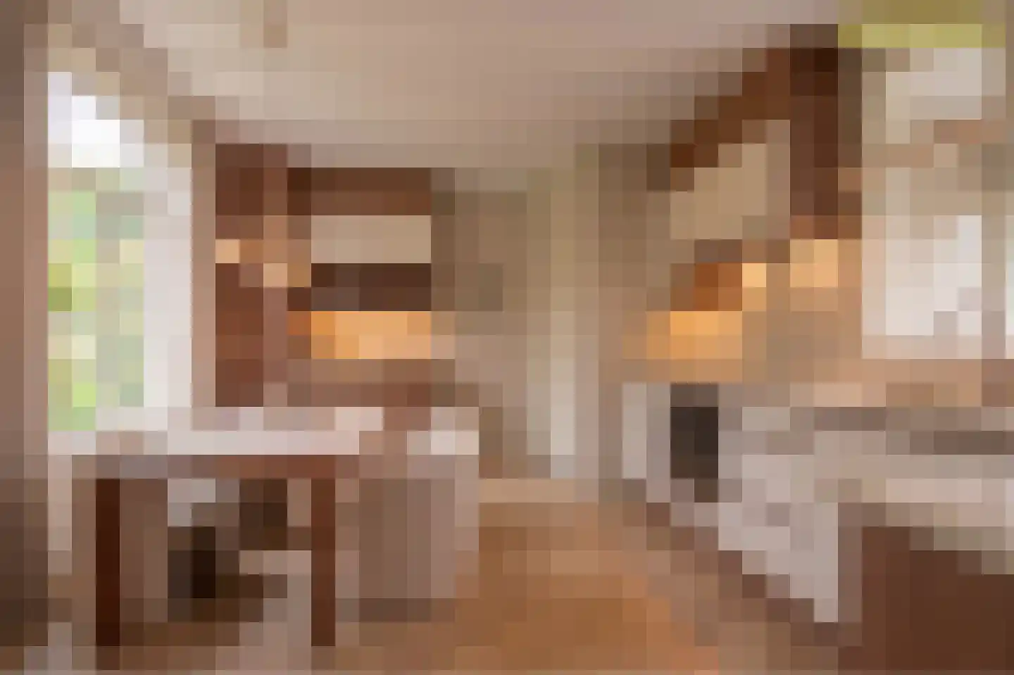 Nieuwstraat 79 Oostburg thumbnail 14