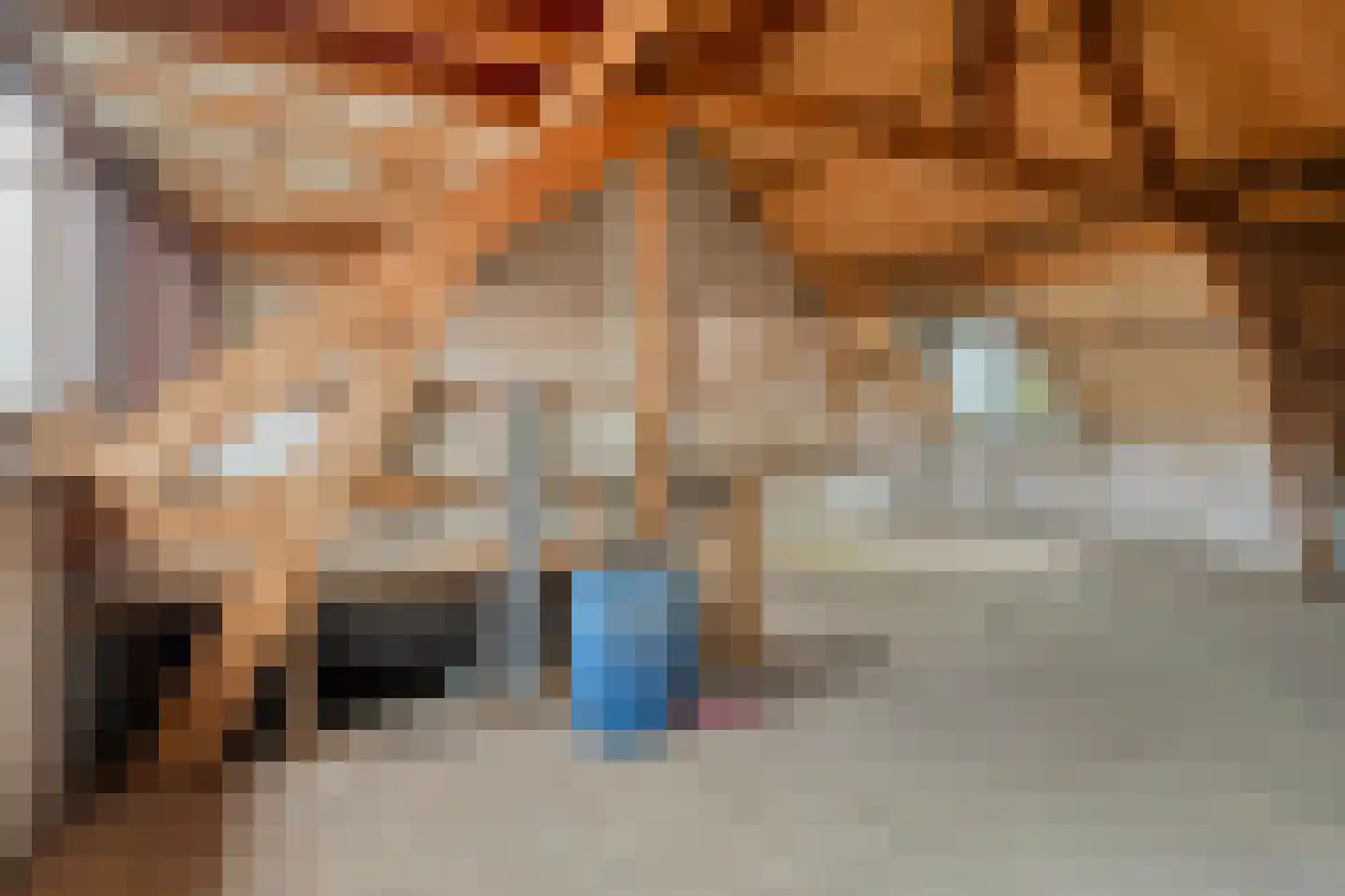 Nieuwstraat 79 Oostburg thumbnail 19